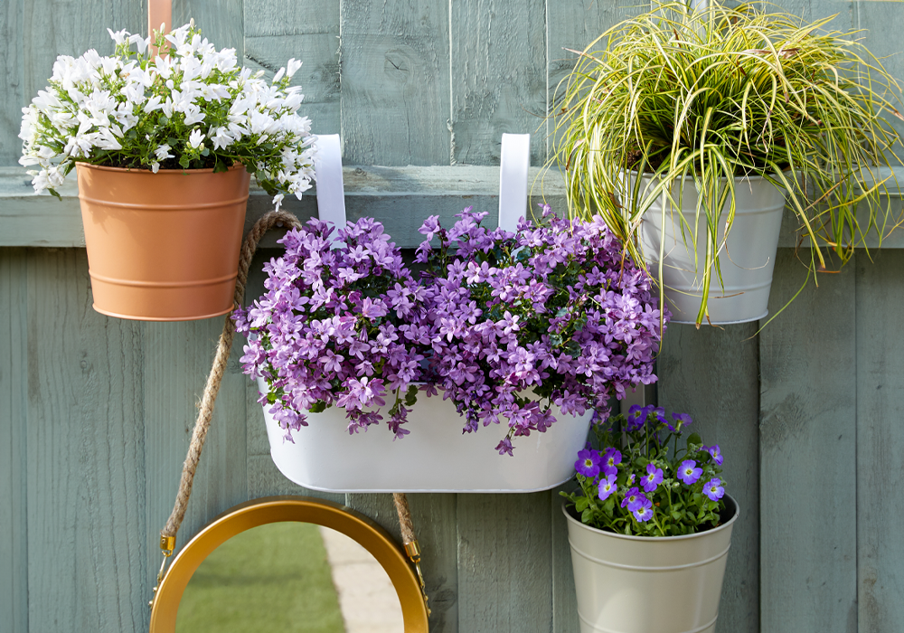 How To Decorate a Garden on a Budget