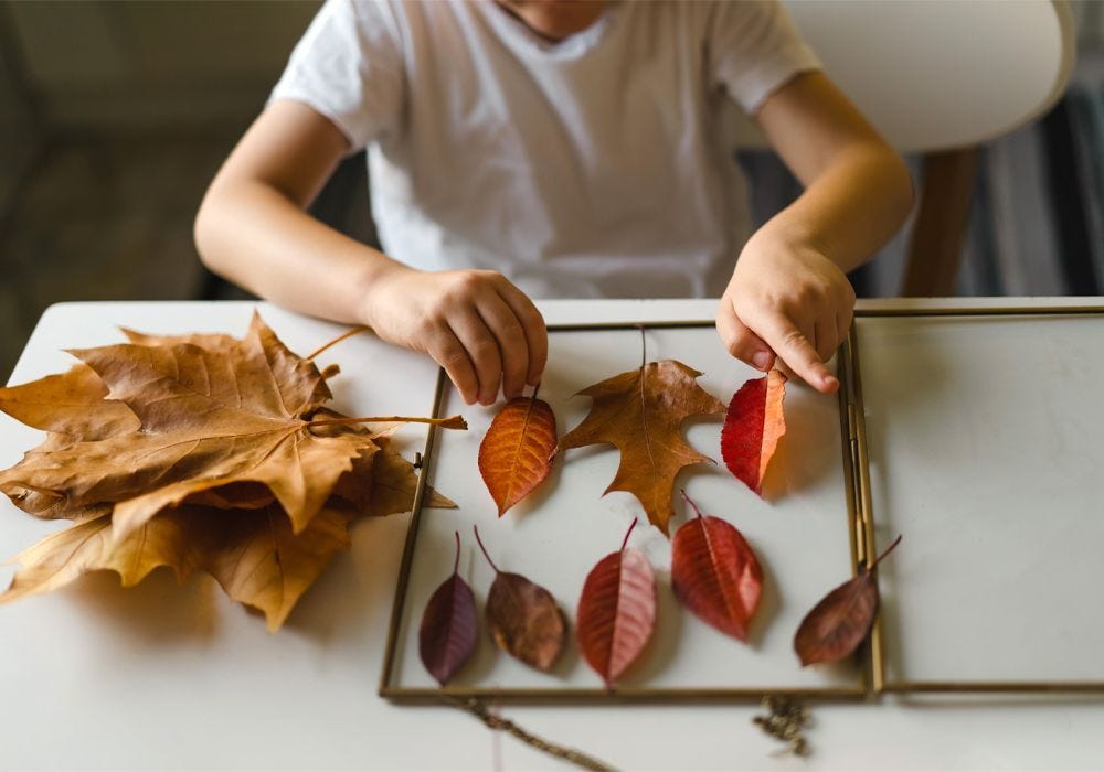 Spark Your Child’s Creativity With Our Easy Bonfire Night Craft Activities