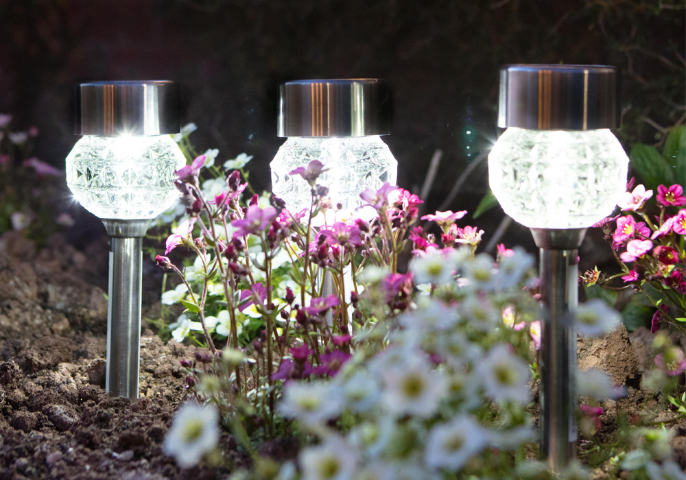 The Complete Guide to Outdoor Decorative Lights