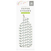 Paper Straws (Pack of 30) - Stripy